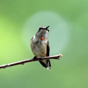 Meet your Posher, Jeanne